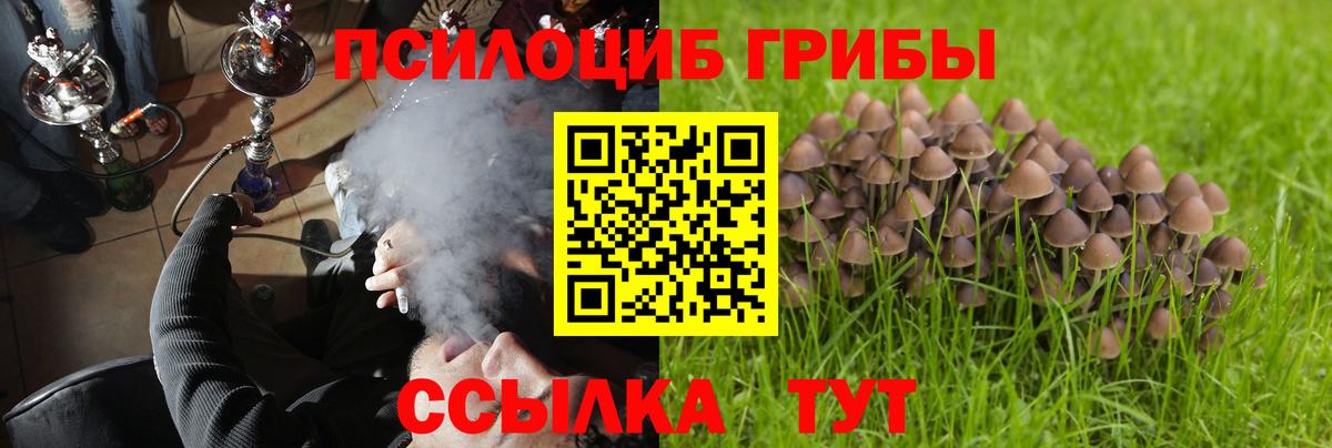 Красноуфимск  Галлюциногенные грибы прущие грибы  Вход с VPN  Галлюциногенные грибы прущие грибы 