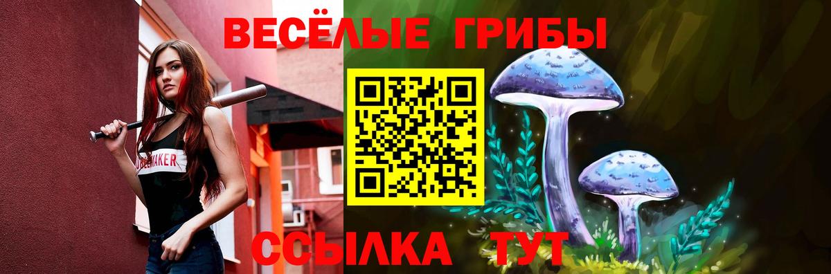 Псилоцибиновые грибы мицелий Красноуфимск